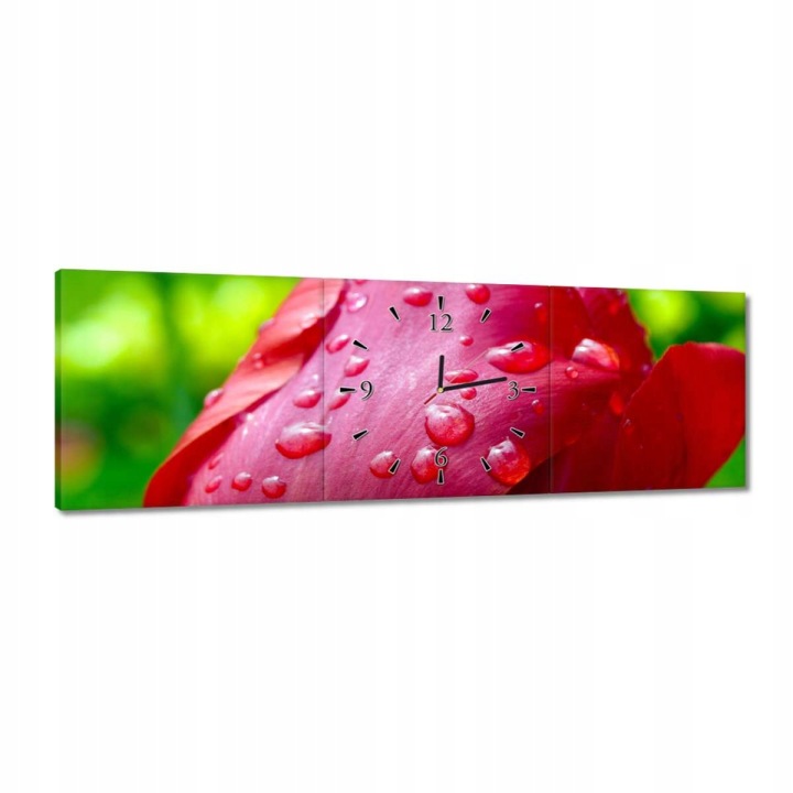 Hodiny 90x30 Tulipány Květiny