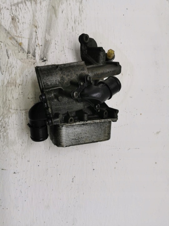 cover of a filter, oil RENAULT TRAFIC II 2.0 DCI