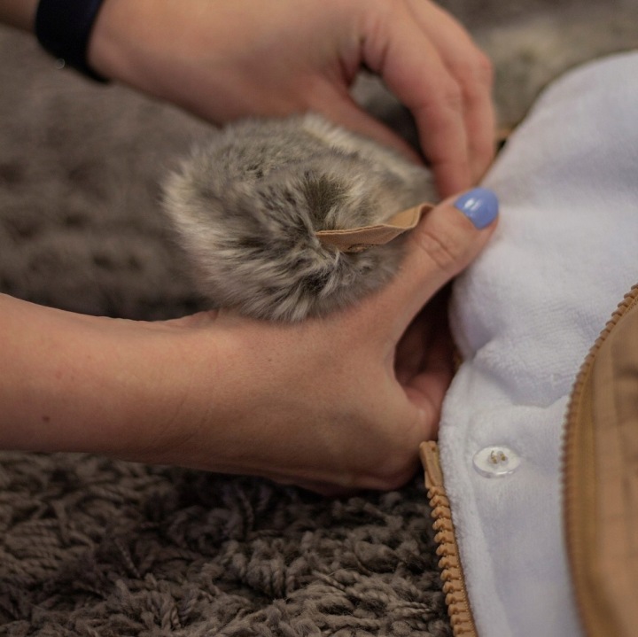 PETITE&MARS Comfy 4 в 1 – конверт універсальний Forever Чорний — фото 11