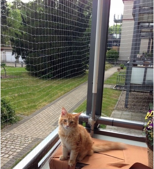 Балкон для кошек купить. Клетка антикошка. Решетка антикошка. Балкончик антикошка. Сетка антикошка кошачий балкон.