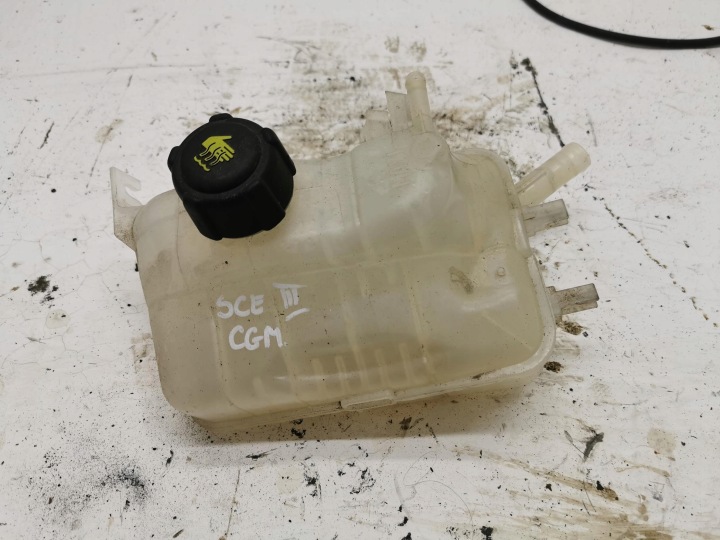 water tank RENAULT SCENIC III 217100005R