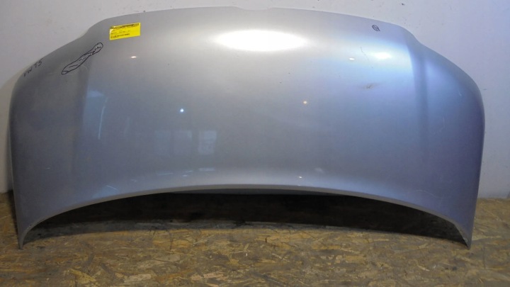 Capot Avant Volkswagen Transporter T5 7H0 04