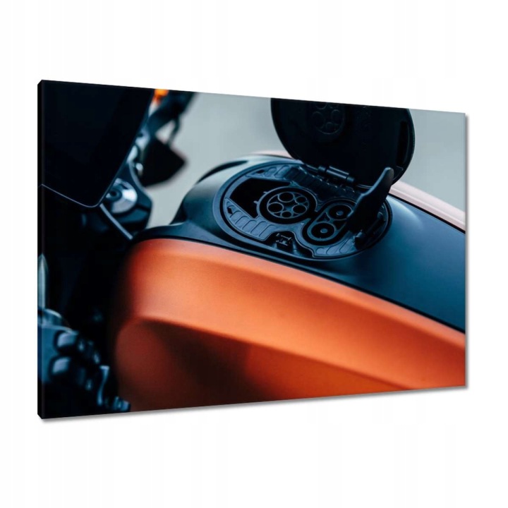Obrazy 100x70 Harley Davidson Motocykl