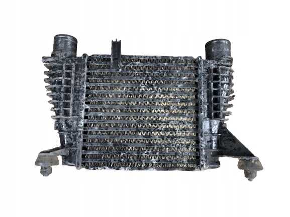 Kühler INTERCOOLER NISSAN NOTE E11 144619U20A