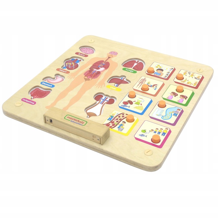 DREWNIANA TABLICA MANIPULACYJNA MONTESSORI MASTERKIDZ UKŁAD CIAŁA LUDZKIEGO