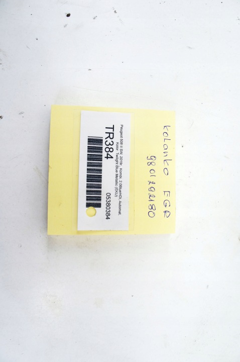 TR384 Peugeot 508 II ^ 2.0d Põlvepirnid EGR 9801292180 6