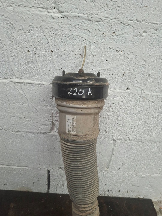 Pneumatic shock absorber Mercedes-Benz S W220 6