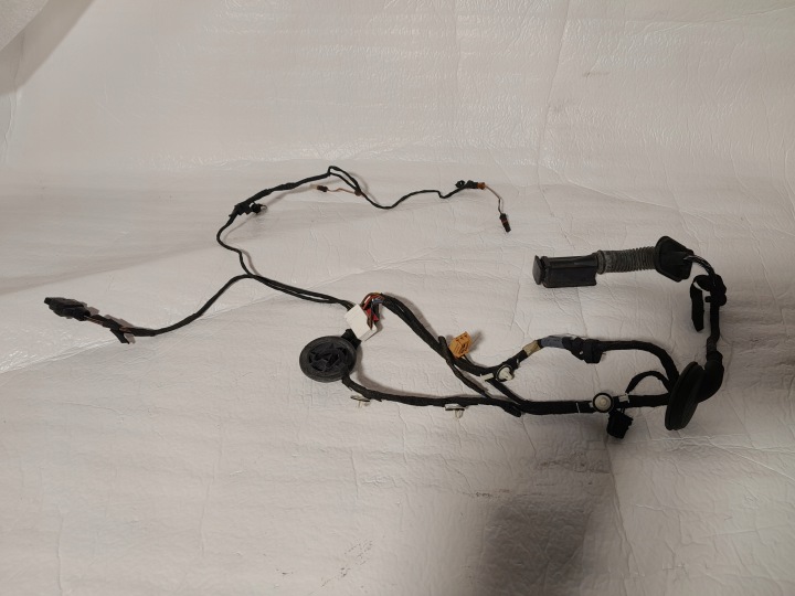 AUDI A4 B9 cablaggio PORTA Portiera Destra posteriore 8W0971687AD