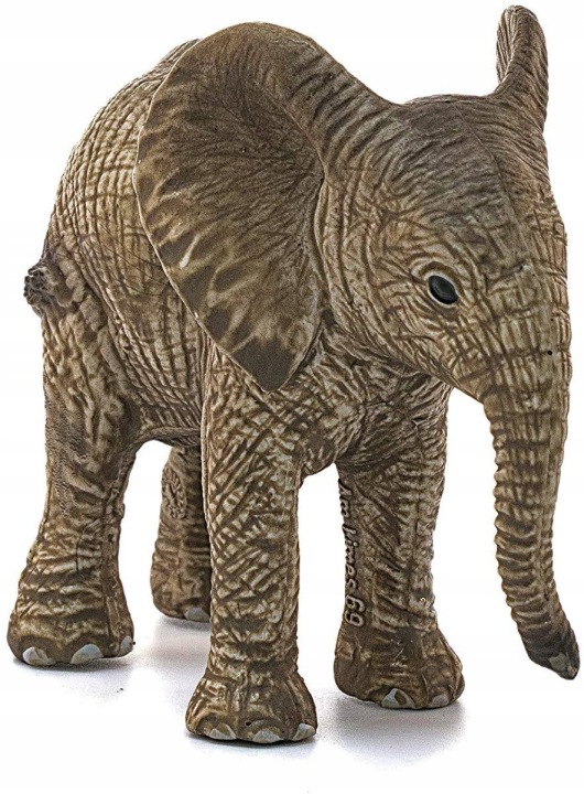 Schleich Слон Африканський Молодий 14763 — фото 3