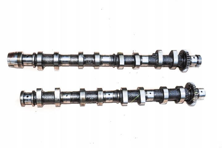 cam of a cam of the gear TOYOTA AVENSIS T25 2.0D4D