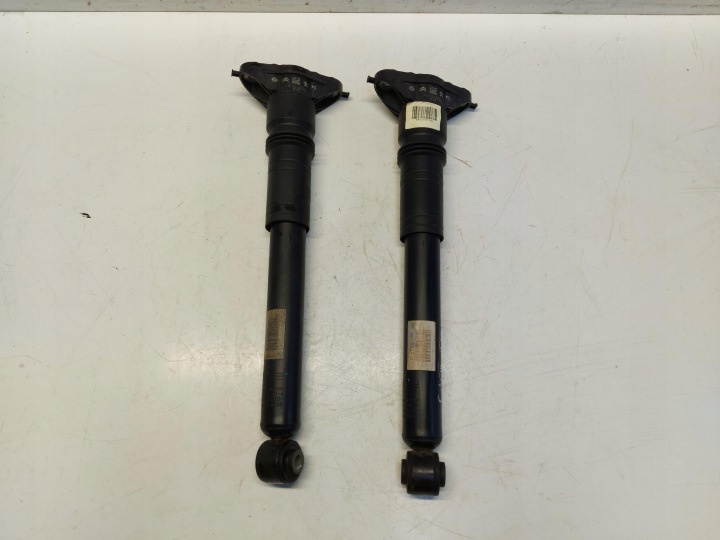 Citroen C4 III Stoßdämpfer heck 9841379480
