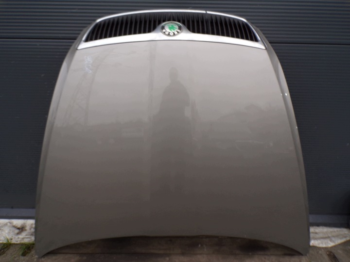 capot SKODA OCTAVIA 2 II couleur 9202 (1)