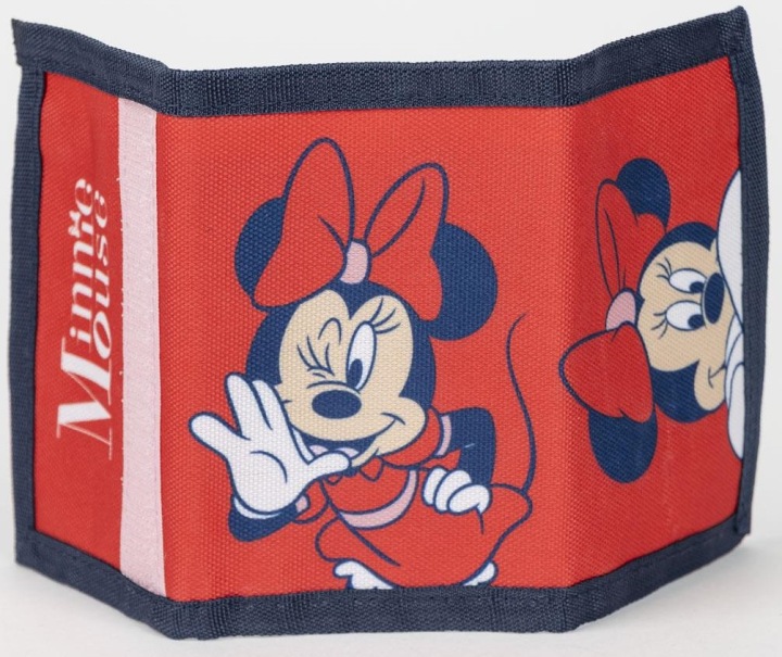 Набір окулярів сонцезахисних з гаманцем, Minnie
