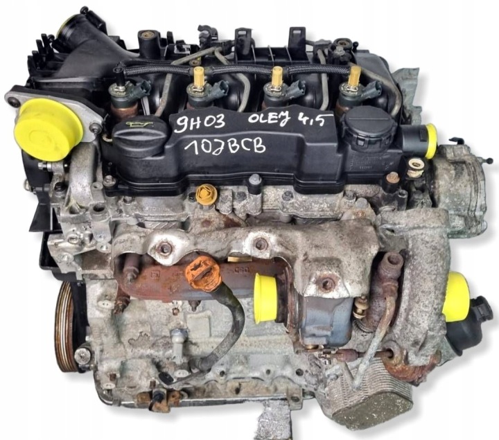 Motore completo PEUGEOT CITROEN BERLINGO 1,6HDI EURO4 10JBCB 9H03 105TYS @