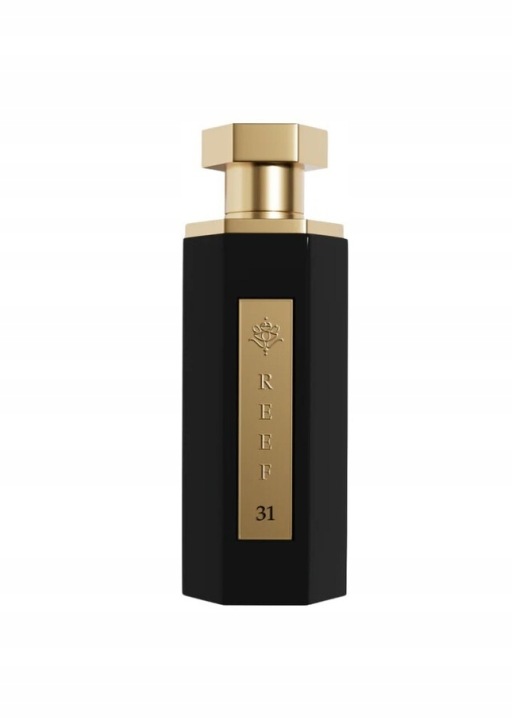 reef reef 31