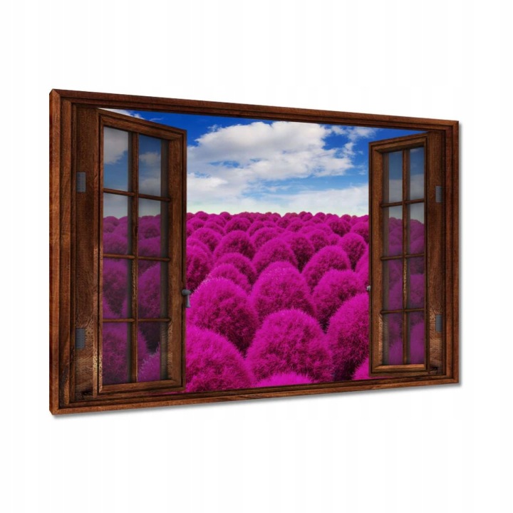 Obrazy 120x80 Výrazná louka Krajina