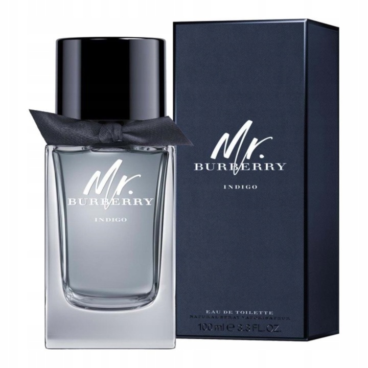 burberry mr. burberry indigo