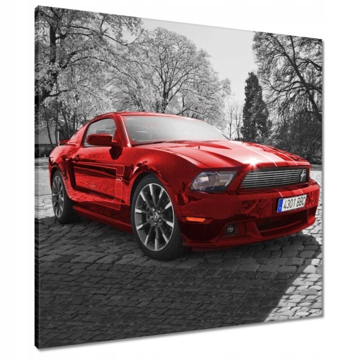 Obrazy 70x70 Červený Ford Mustang Usa
