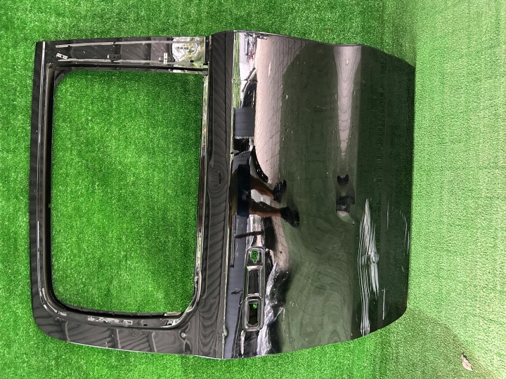 Dodge Ram 19- door right rear part rear.