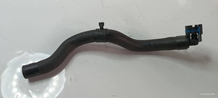 Schlauch Rohr des Wassers HYUNDAI I30 III 41620-F2900 2019-23R