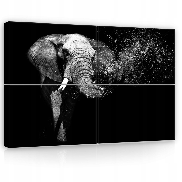 Obraz 120x80 Modulární slon polyptych černobílý příroda zvíře síla