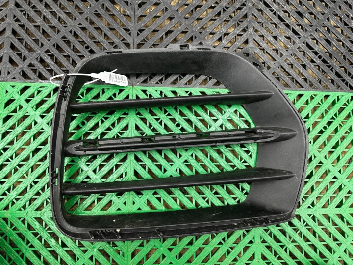 Grill des Kühlers (Grill) BMW X6 E71 8055277
