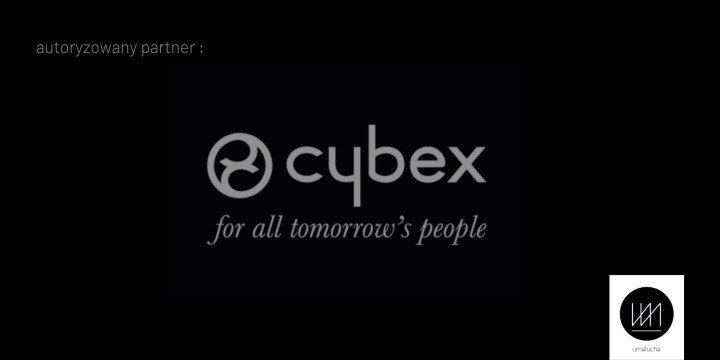 Cybex Літній Чохол Для Крісла Pallas / Solution G Сірий — фото 5