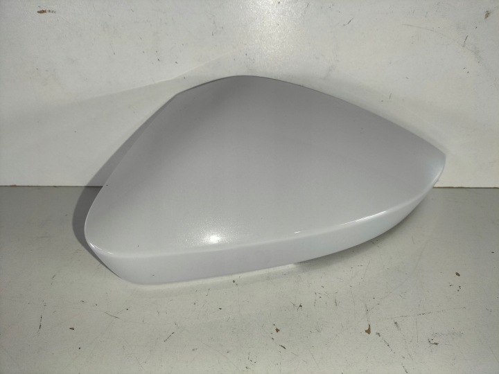 SCATOLA SPECCHIETTO RETROVISORE SINISTRA SKODA SCALA 19