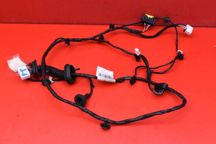 cablaggio cablaggio PORTA Portiera Destra posteriore A736E02288 BAIC BEIJING X7 LIFT 23