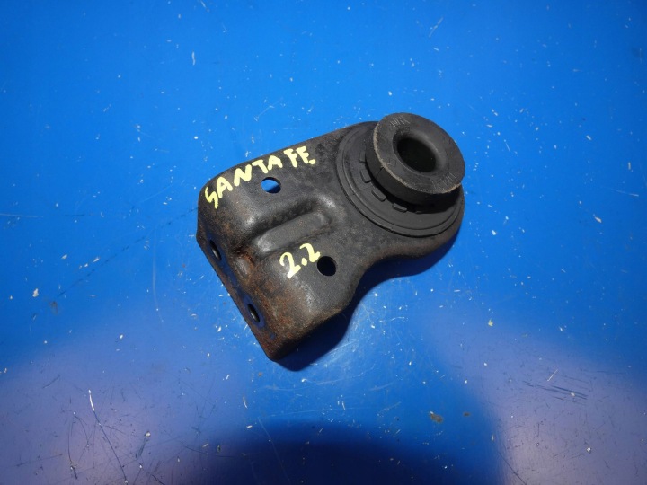 HYUNDAI SANTA FE III Halter Halter Stütze des Kühlers