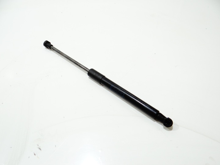 PISTONI PORTELLONE telescopico del cofano BMW X1 E84 2990344