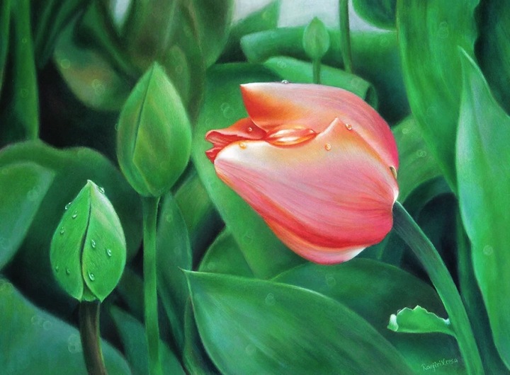Олівець Koh-I-Noor Polycolor 776 Celadon Зелений олівець художня — фото 7