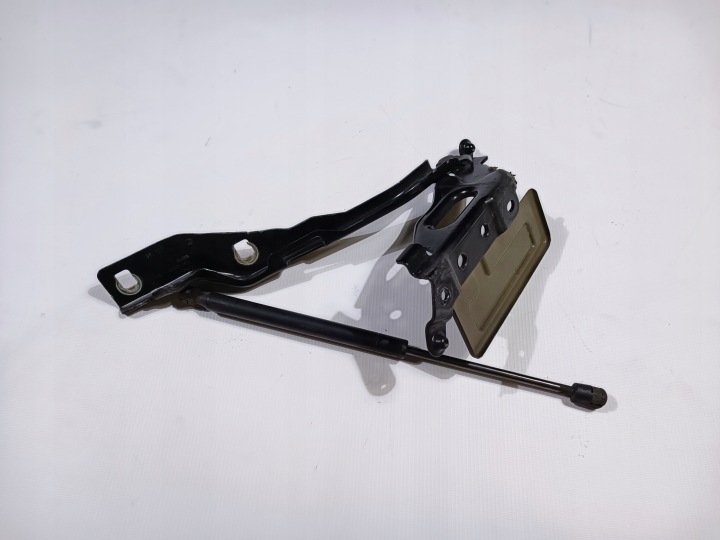 Scharnier der Kühlergrill Dämpfer rechts Ford F150 2015