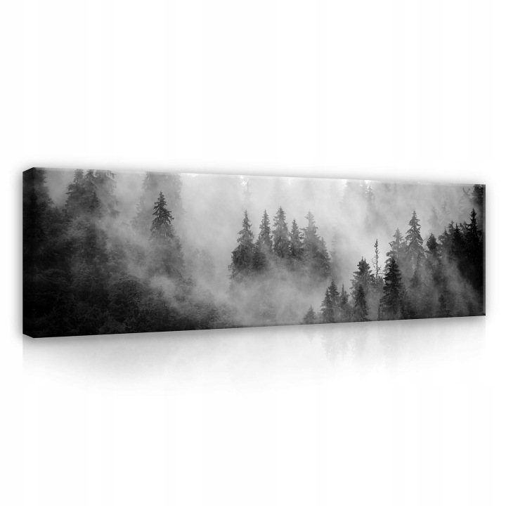 Obraz 145x45 Mlžný les mystika klid příroda ticho horská krajina