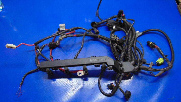 cablaggio Motore 1.6 16V MINI COOPER R53 R50 01-06 Rok