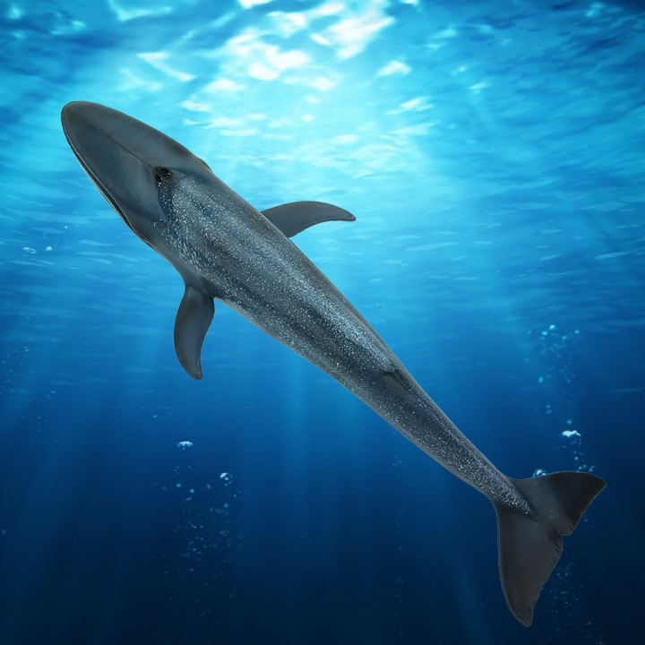 Модель FISH декор декор розвивальний KID імітація мініатюрна іграшка KJ — фото 8