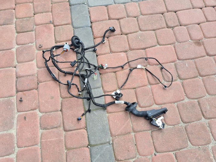 cablaggio cablaggio PORTA Portiera Opel Insignia B 39153013