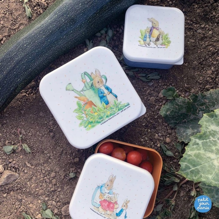 AL49 Набір ланч-бокс 3 в 1 коробки Petit Jour Paris Свинка Peppa — фото 2