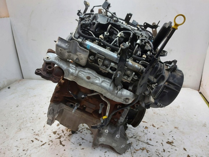 Ford Ranger VI 6 AMAROK 2024r Moteur 3.0 TDCI EcoBlue 240KM BF2X DXWB-JLK01