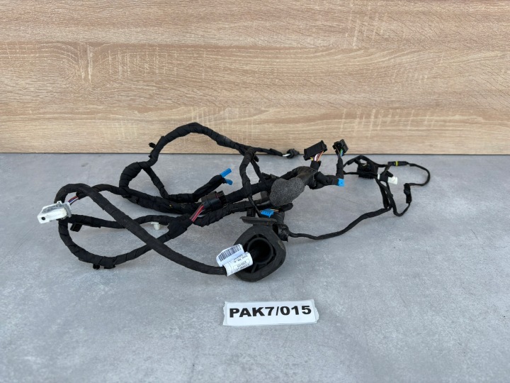 BMW F40 F44 wiring DO door of the hose bundle 124931-10 8724990 PAK7/015