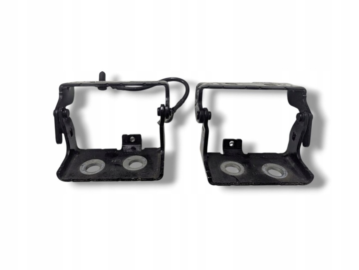 Cerniera del cofano Jaguar E-Pace X540 2020 J9C3-42901-A