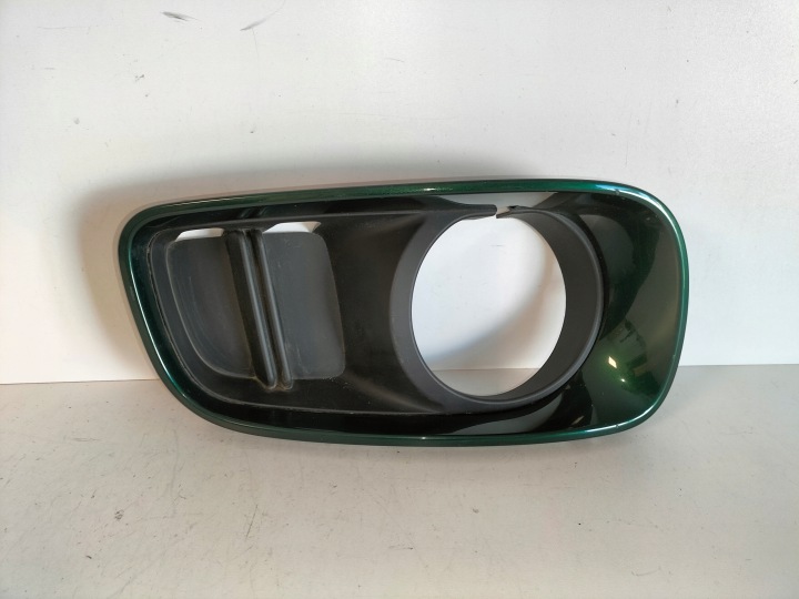 GRIGLIA griglia Paraurti Anteriore Destro MINI COUNTRYMAN S F60 17
