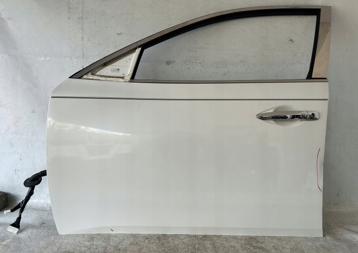 Portière Gauche Avant NISSAN MAXIMA A35 09- QX3