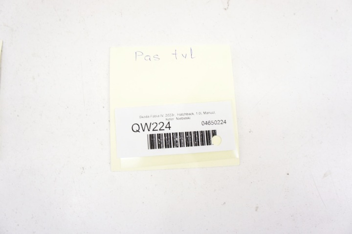 QW224 Skoda Fabia IV 21- Achtergordel Hatchback 12