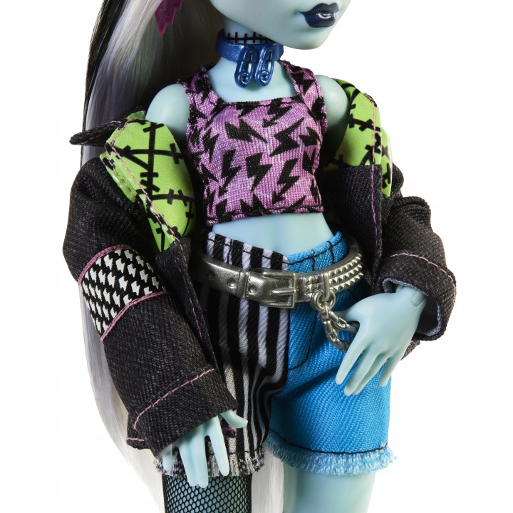Лялька Monster High FRANKIE STEIN Лялька Базова з Песиком MATTEL HXH73 — фото 3