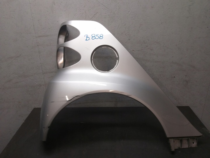PARAFANGO POSTERIORE DESTRA SMART FORTWO A451