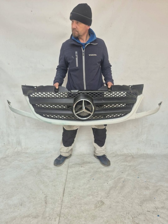MERCEDES SPRINTER W906 Grill Grill des Kühlers Blende Schutzkappe A9068800385