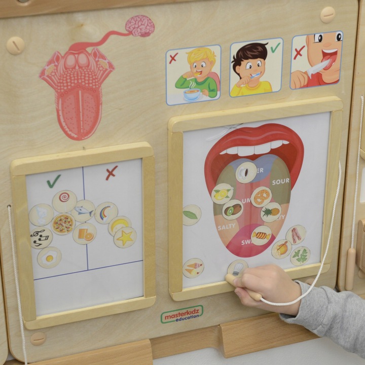 MASTERKIDZ Дошка Розвивальна Чуття Смаком Монтессорі — фото 4