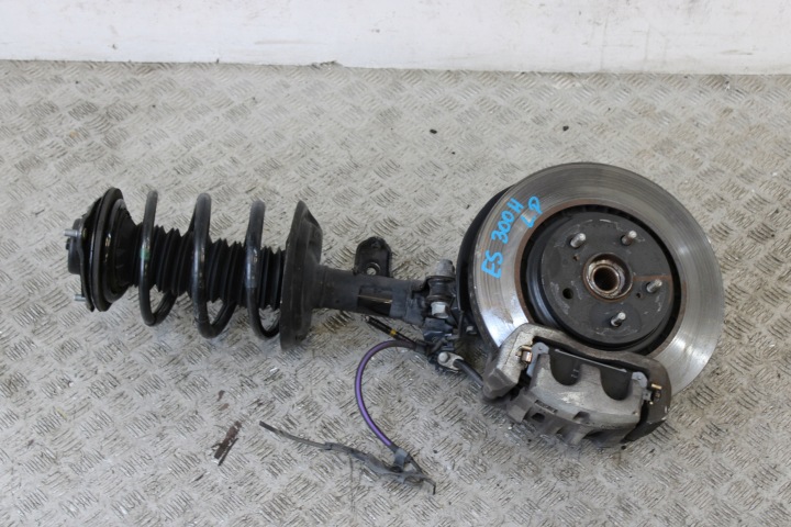 Mozzo FUSELLO ammortizzatore mcpherson sinistra Anteriore LEXUS ES 300H ES300H VII 7