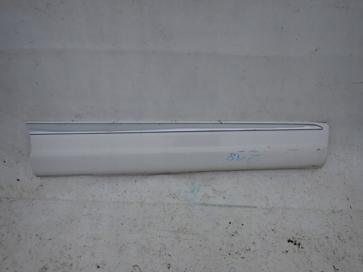 VW TIGUAN and R-LINE moulding door right front
